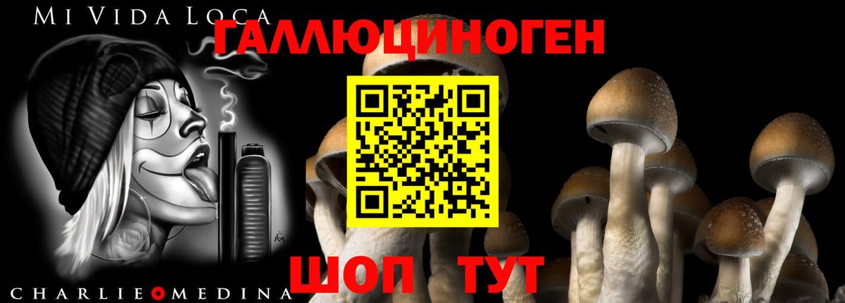 Псилоцибиновые грибы Cubensis  Галлюциногенные грибы прущие грибы  Дюртюли  Вход с VPN 